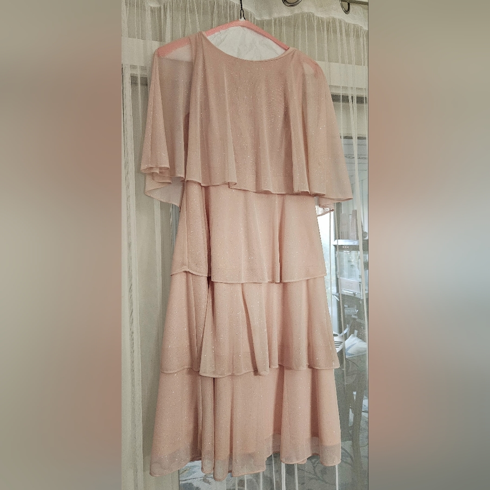 Sparkle Pink Blush colored chiffon dress. Knee length